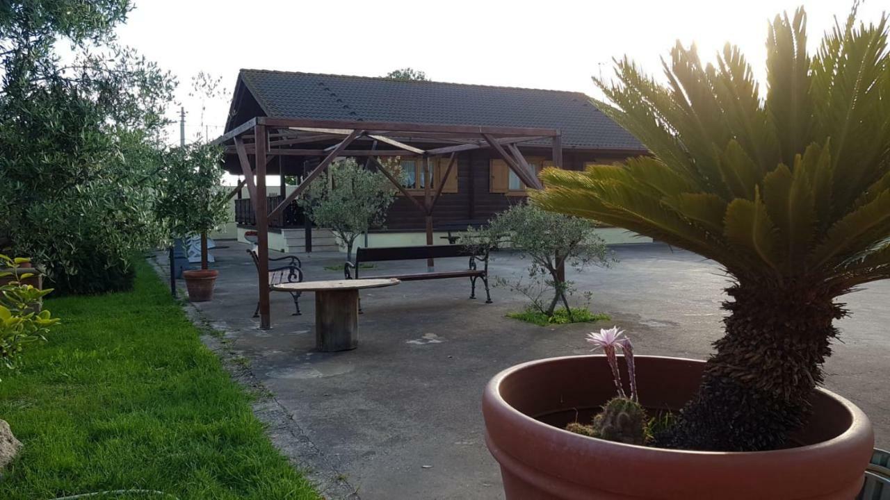 L'oasi di Ambra CHALET Ardea Esterno foto